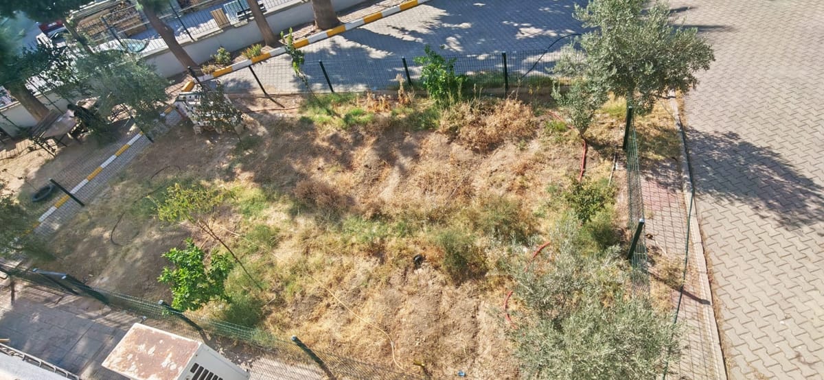 First Things First I