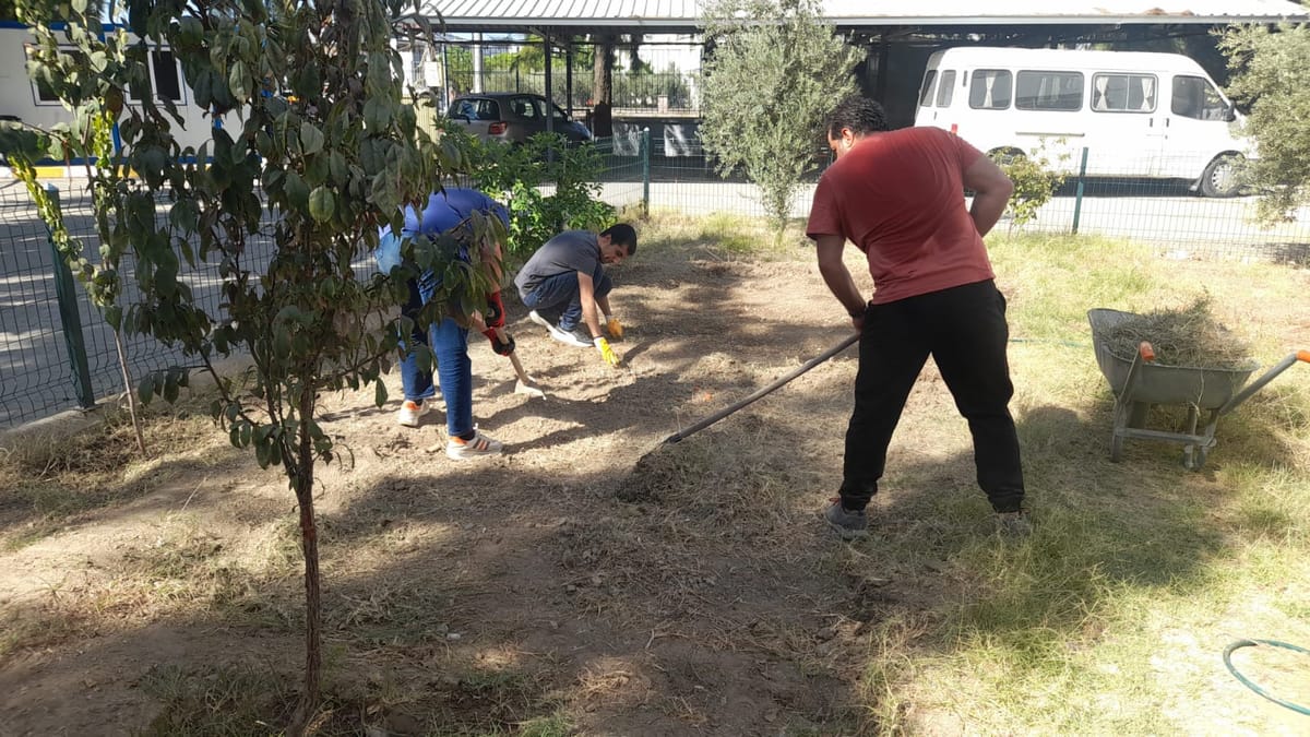 First Things First II