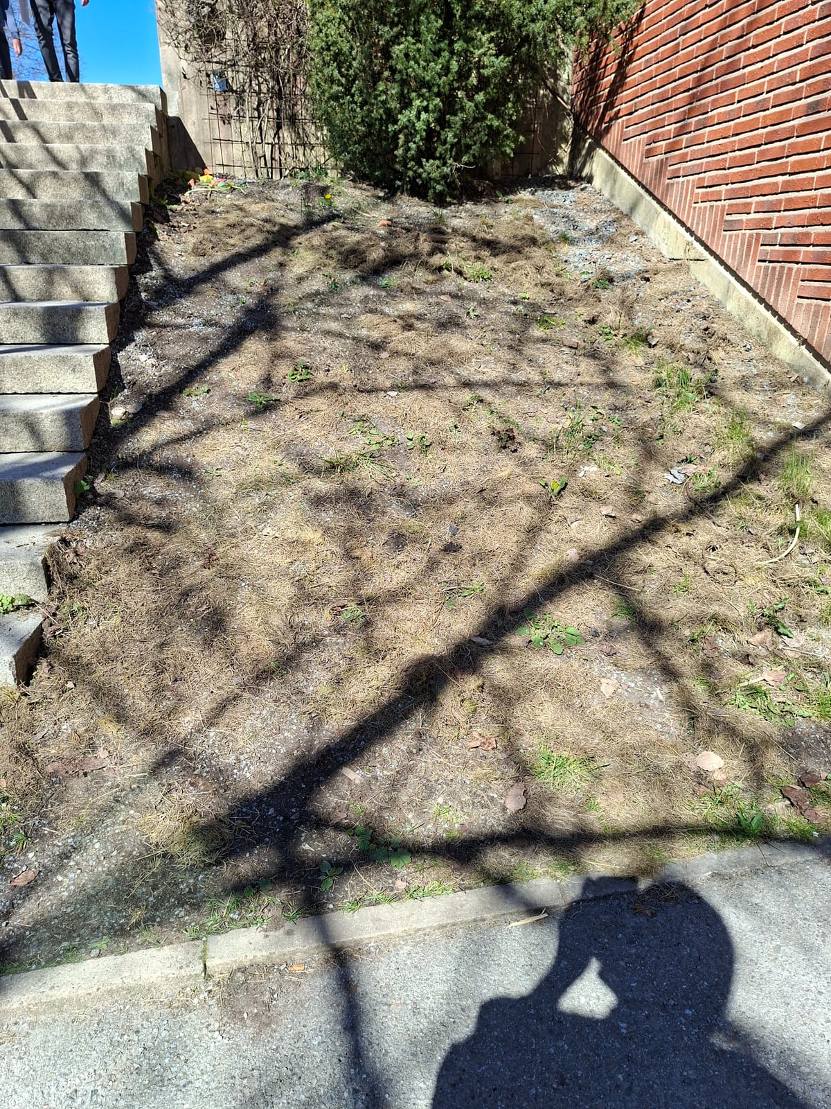 Herb Garden Terrace -Place