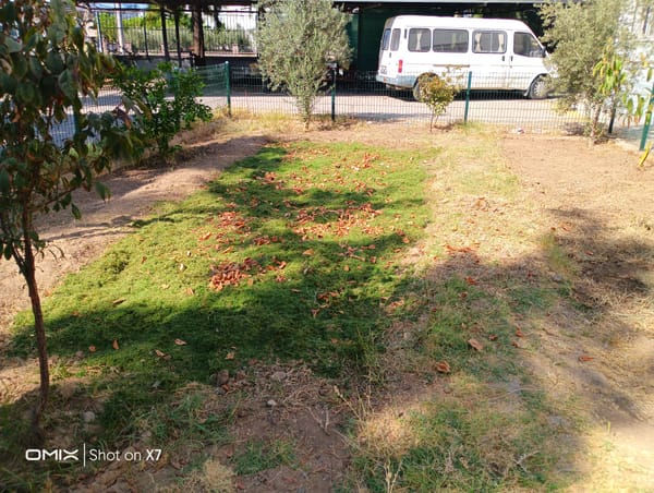 First Things First IV