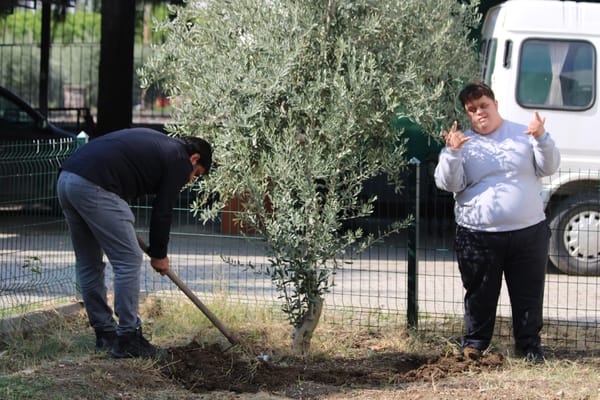 Basin & Rim - Execution