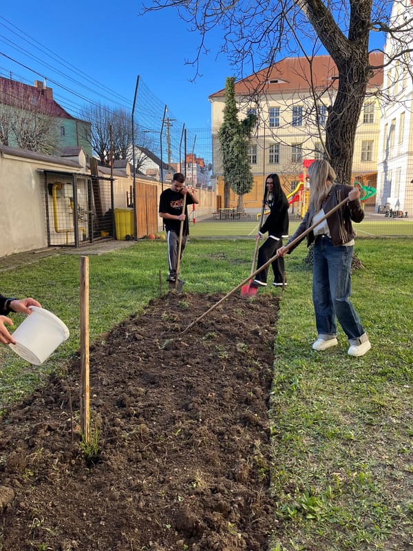 Breaking grounds, Building systems