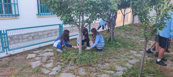Spring in Spain I